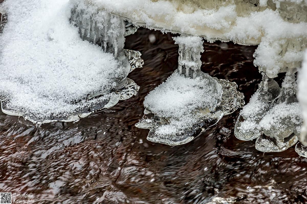 Времена года. Зимняя Карелия с фотографом