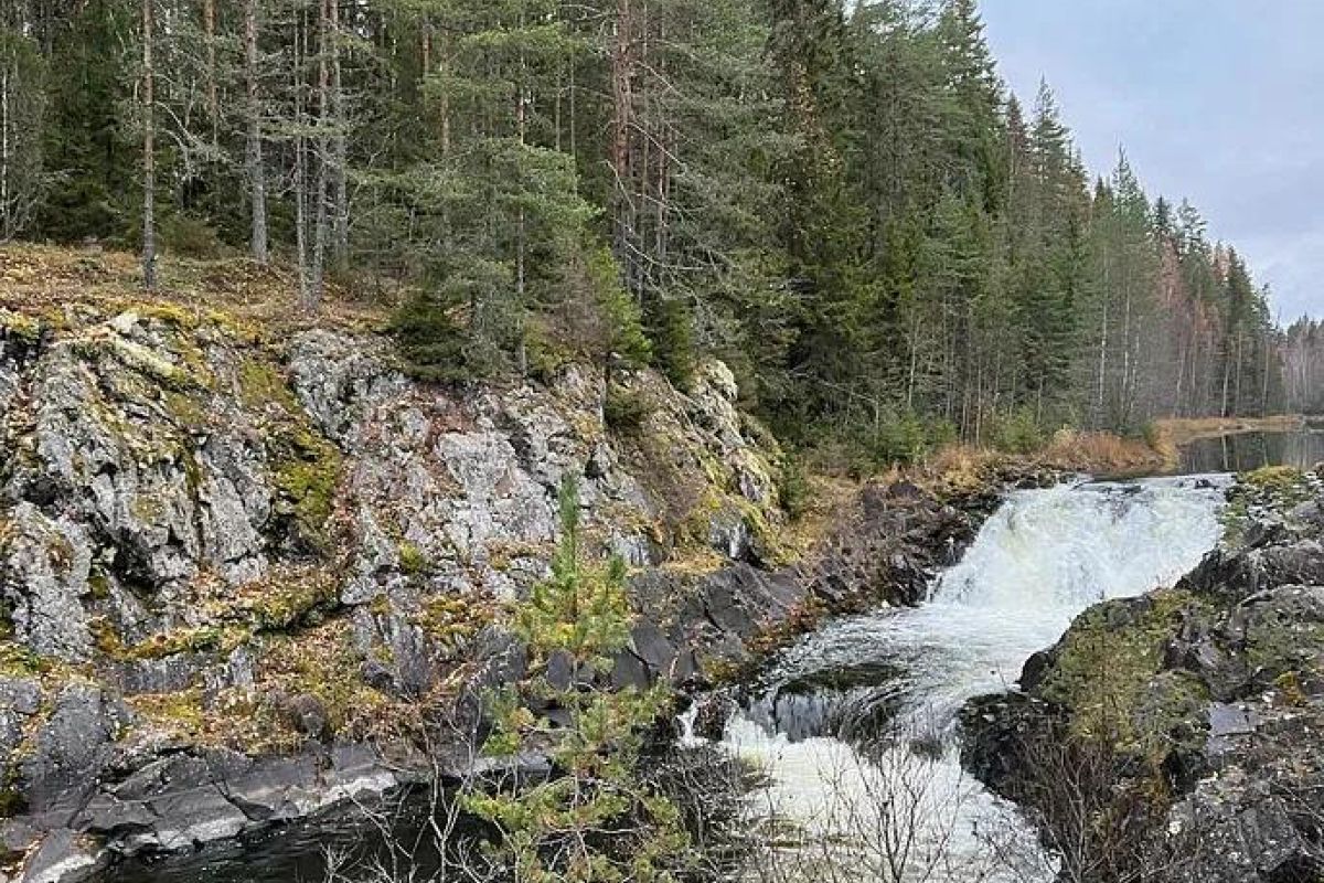 Перезагрузка в Карелии (8 дней / 7 ночей)