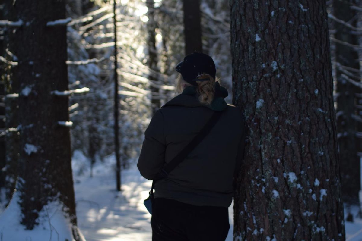Новогодняя ночь в Карелии