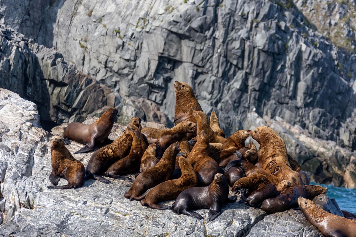 Вдыхай лето. Летний тур на Камчатку с PEAK 3'456