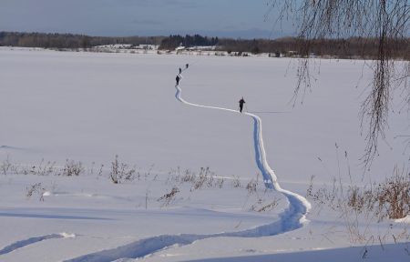 Лыжный тур по Карелии (Спасская Губа, 4 дня)