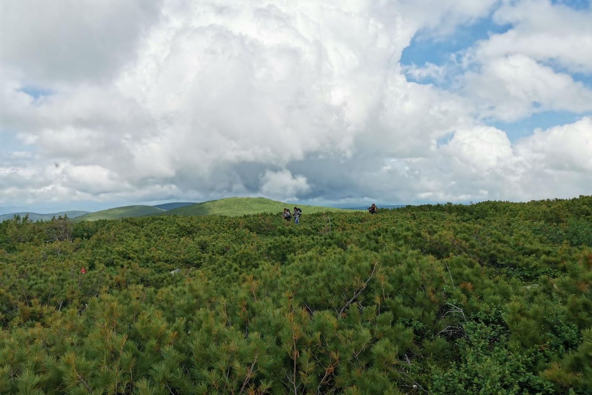 Горные купола Тукурингры