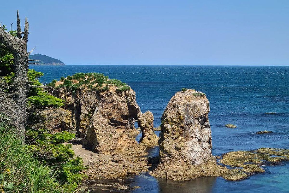 Мыс Великан. Мыс Птичий (Сахалин)