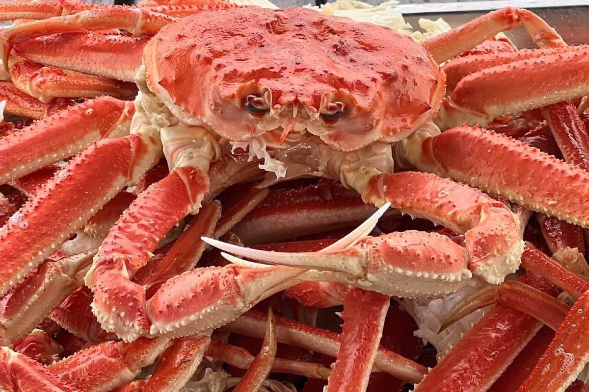 Морская прогулка до бухты Русская