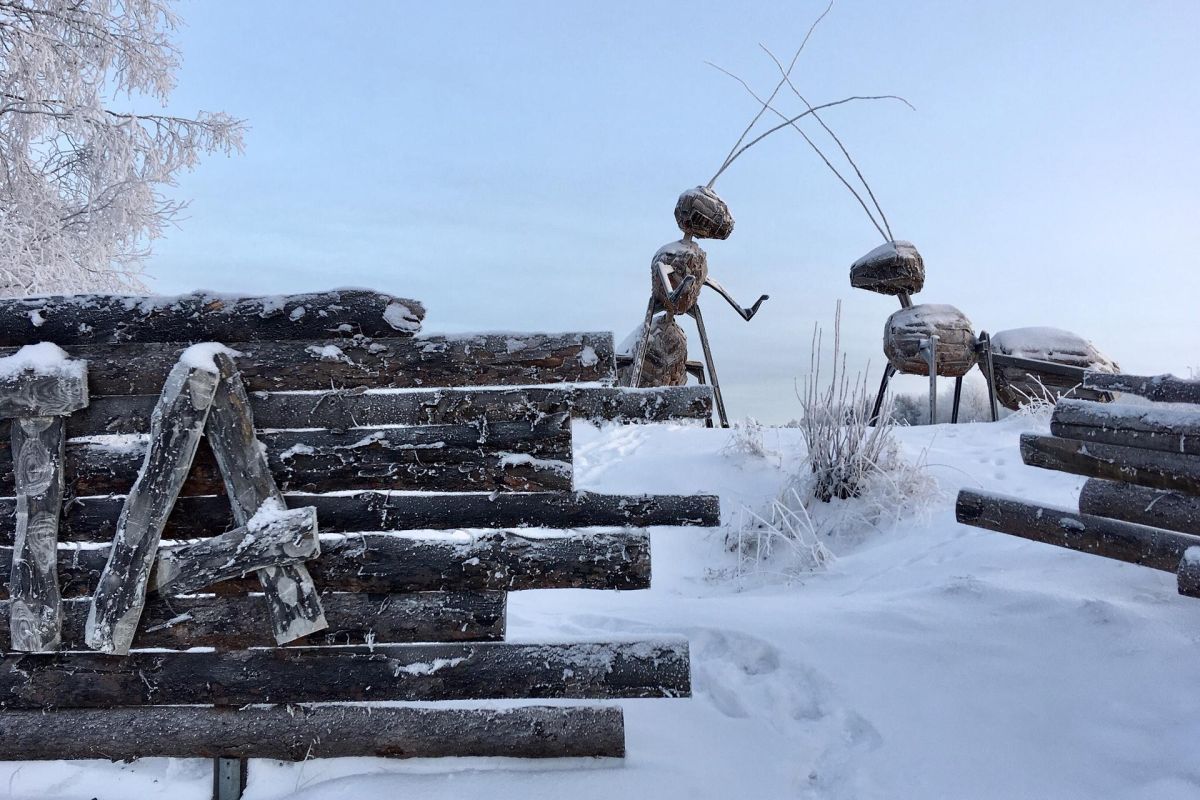 Тур выходного дня "ПРЕДНОВОГОДНИЕ ЧУДЕСА В КЕНОЗЕРЬЕ"