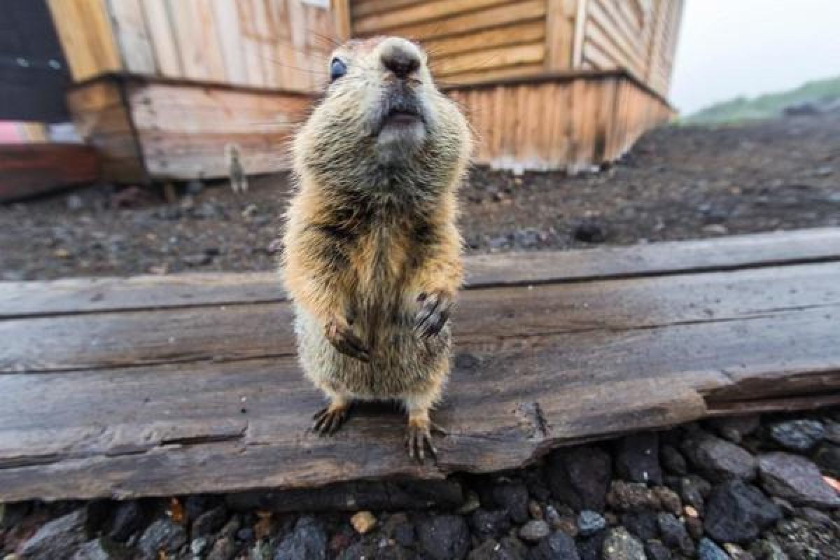 Камчатка. Главное путешествие в жизни 2026