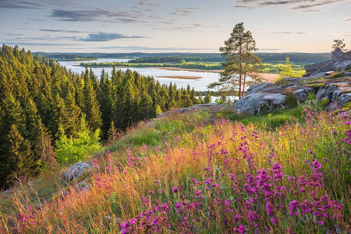 Фототур на Ладожские шхеры. Вдохновение и созерцание.