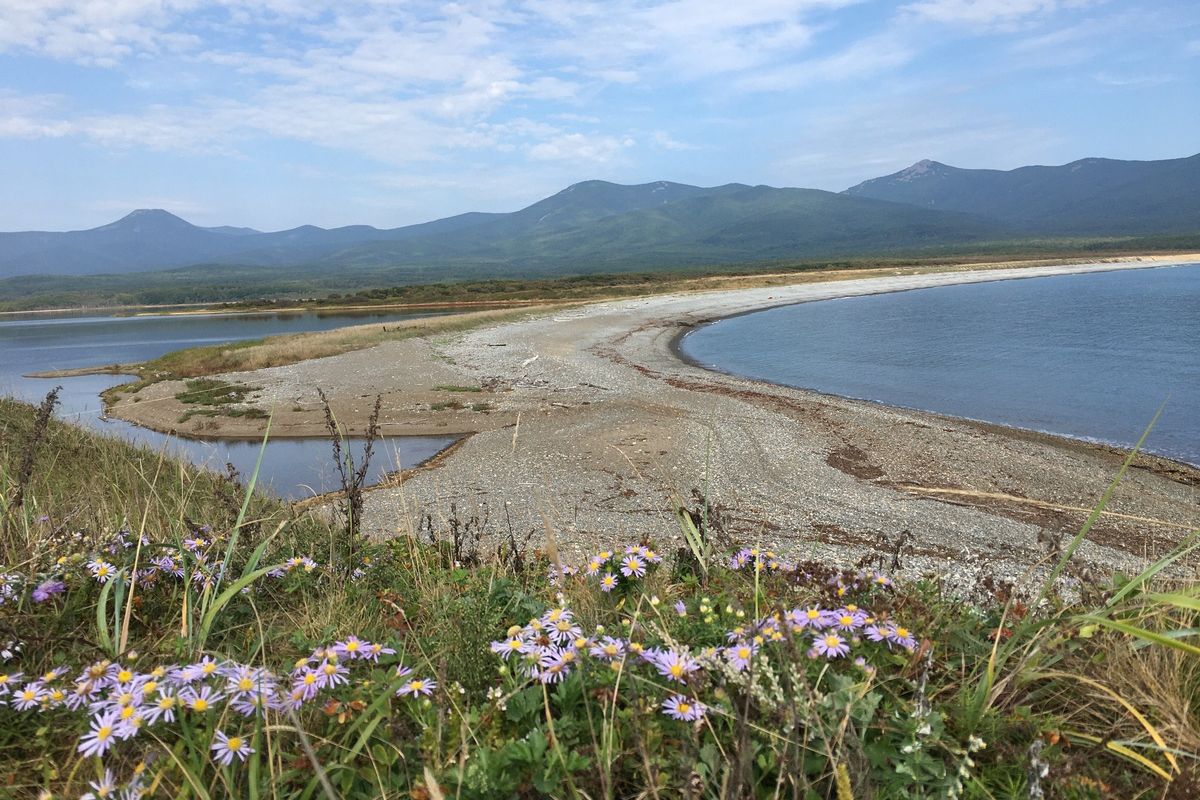 Сихотэ-Алинский заповедник: по следам амурского тигра!