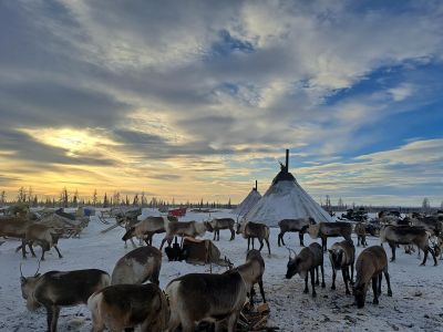 Две столицы Ямала