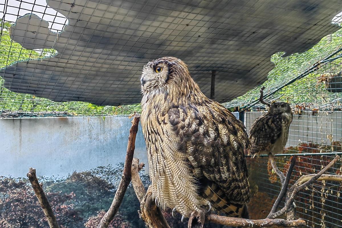 Приморье и Сахалин в одном туре