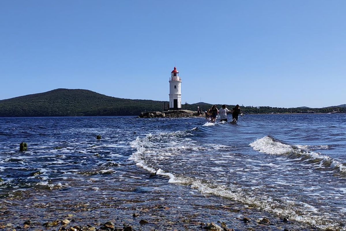 Лотосы и море – Приморье