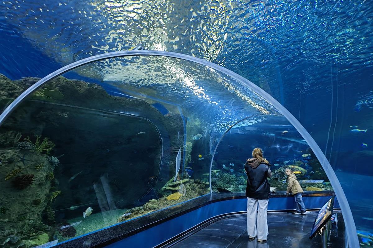 Дыхание весны в Приморье