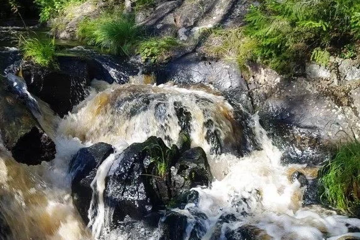 Гранд-тур по Карелии +Соловки (1 ночь на Соловках)