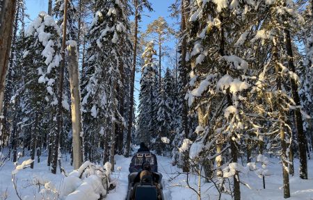 Снегоходный тур «Заповедное Кенозерье»