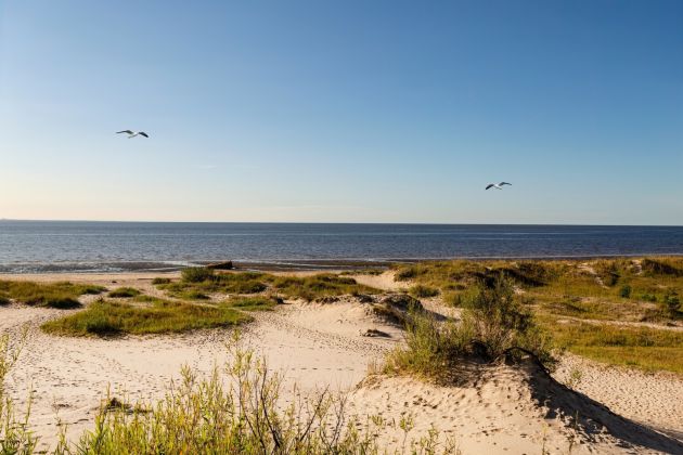 Морские прогулки по Белому морю