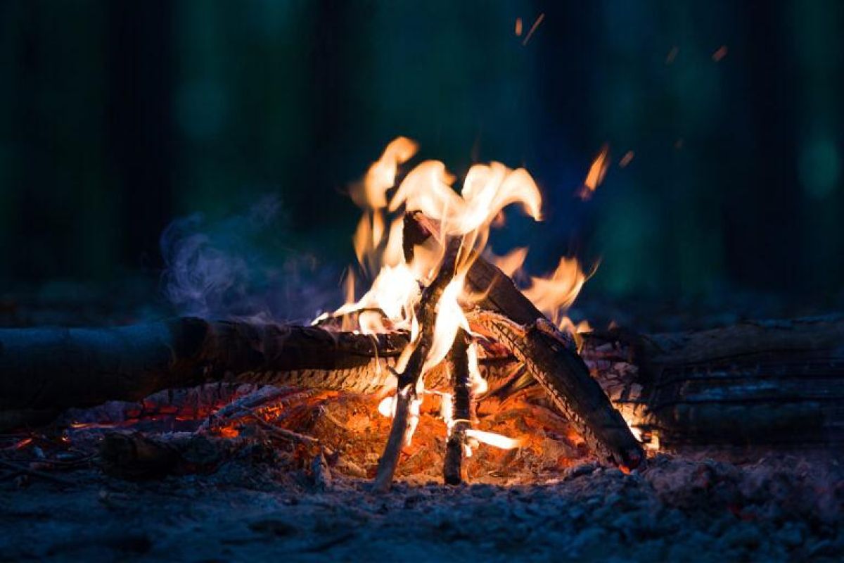 Квест-экскурсия "Дремучий лес"