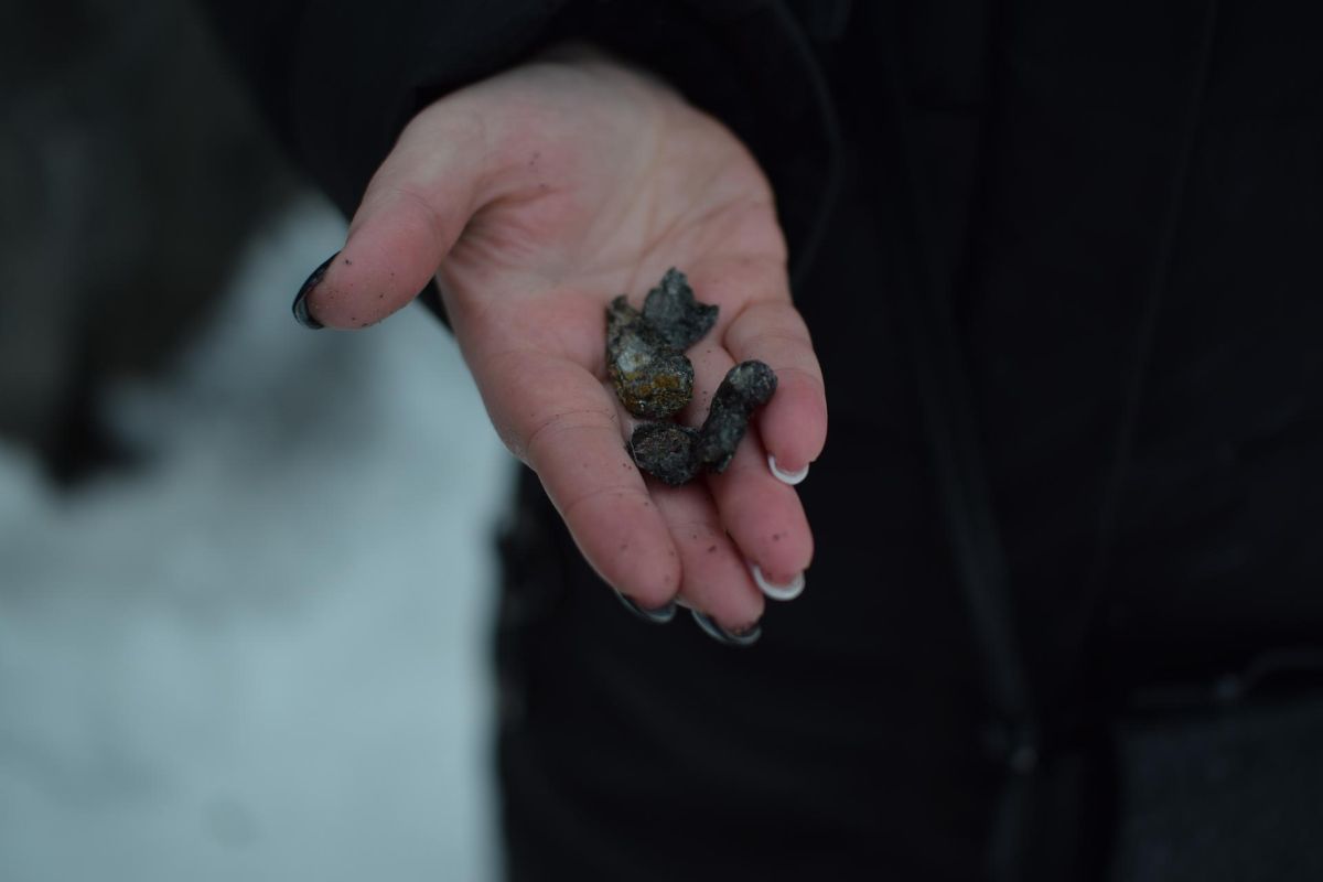 Новогодняя ночь в Карелии