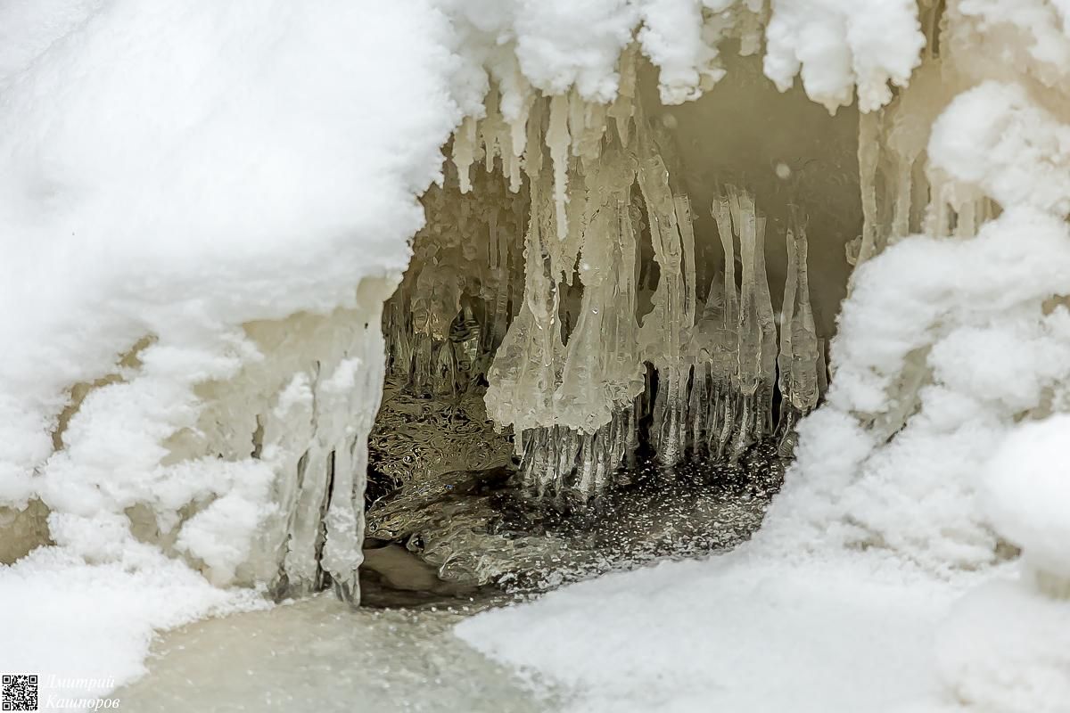 Времена года. Зимняя Карелия с фотографом