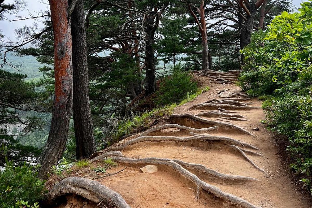 Симфония островов и горизонтов