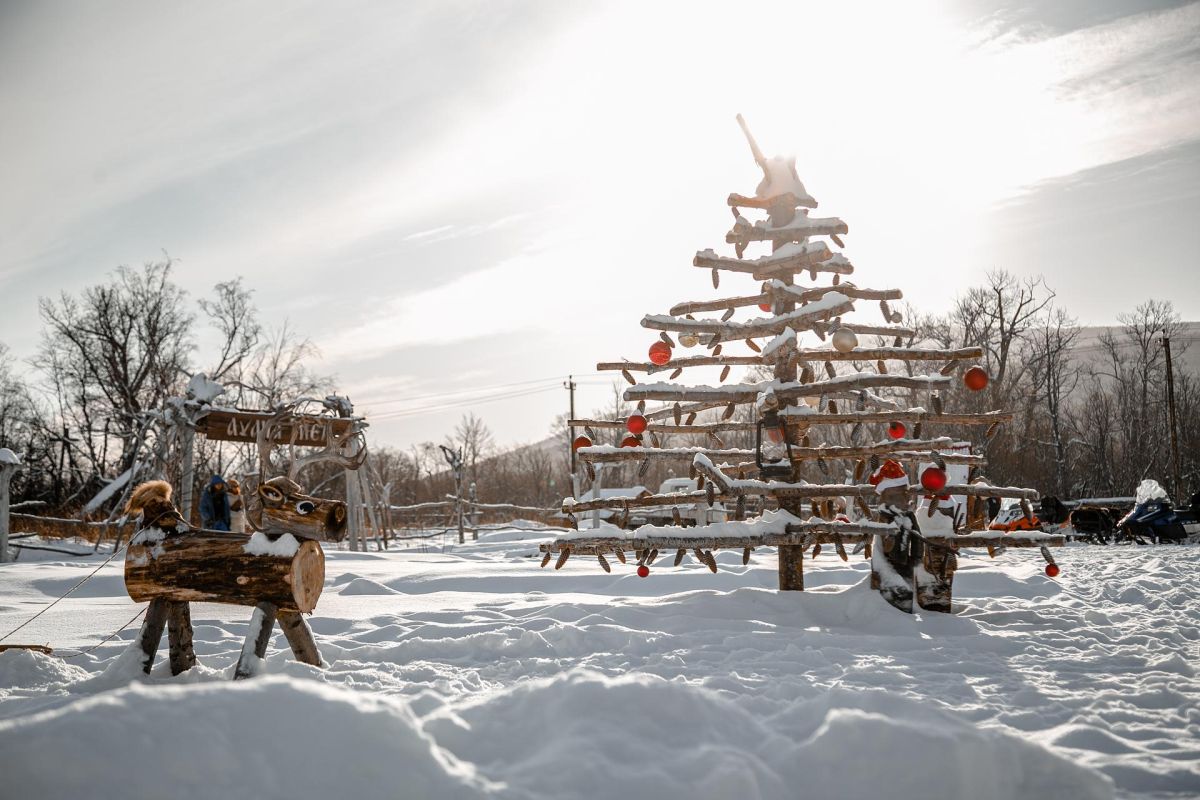 Экскурсия с катание на собачьих упряжках и горячим источником – Камчатка