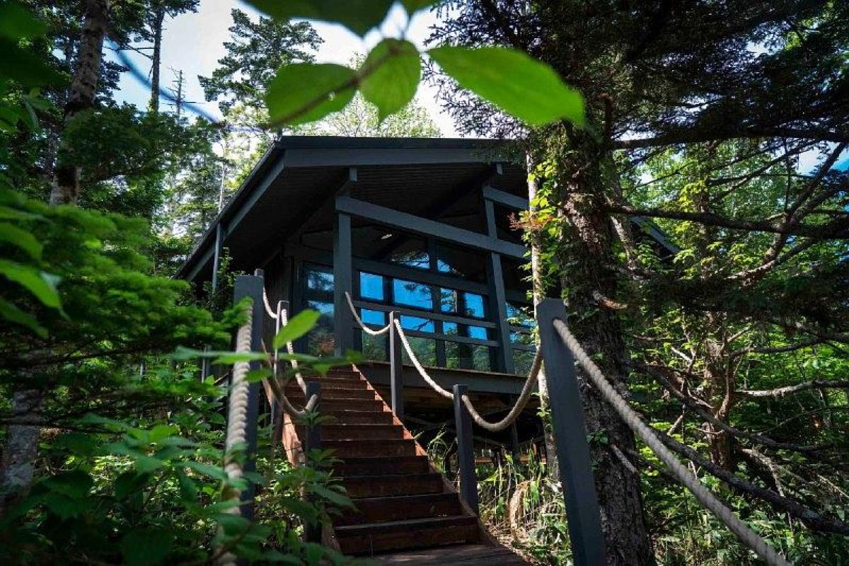 Приключения на краю света – Кунашир