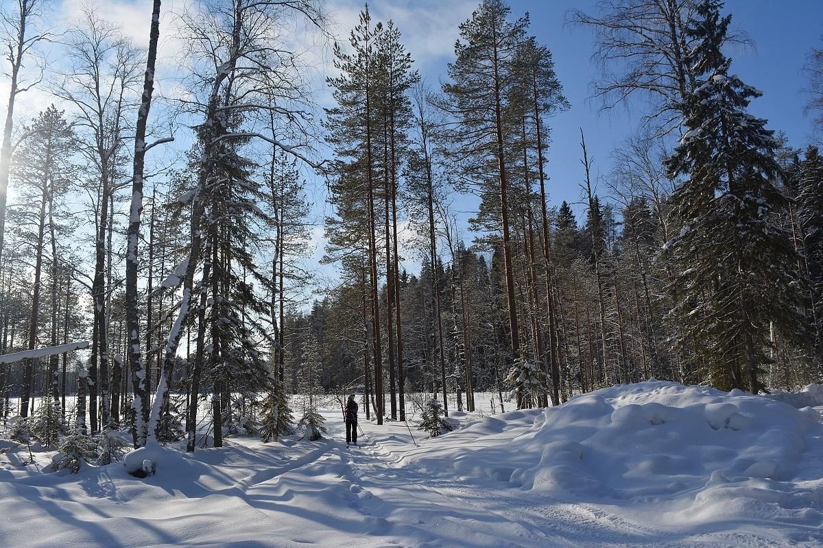 Лыжный тур в карельском Приладожье (3 дня)