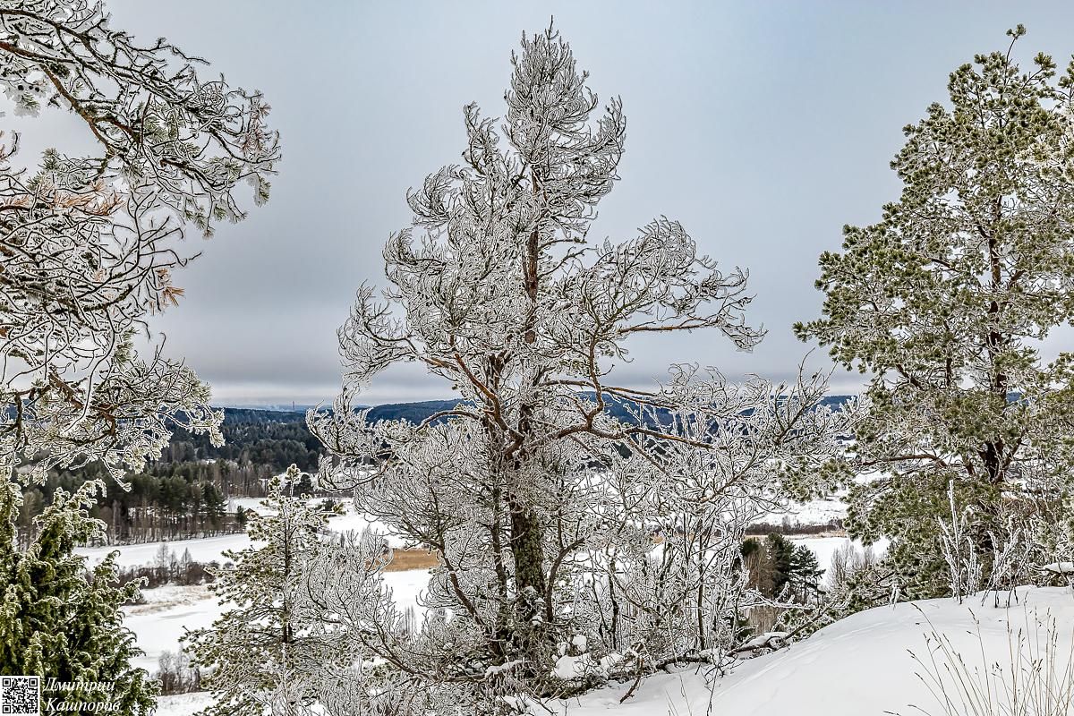 Времена года. Зимняя Карелия с фотографом