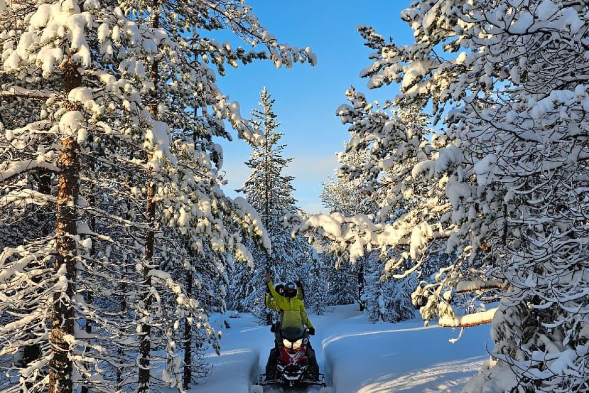 Север на ладони – Кольский