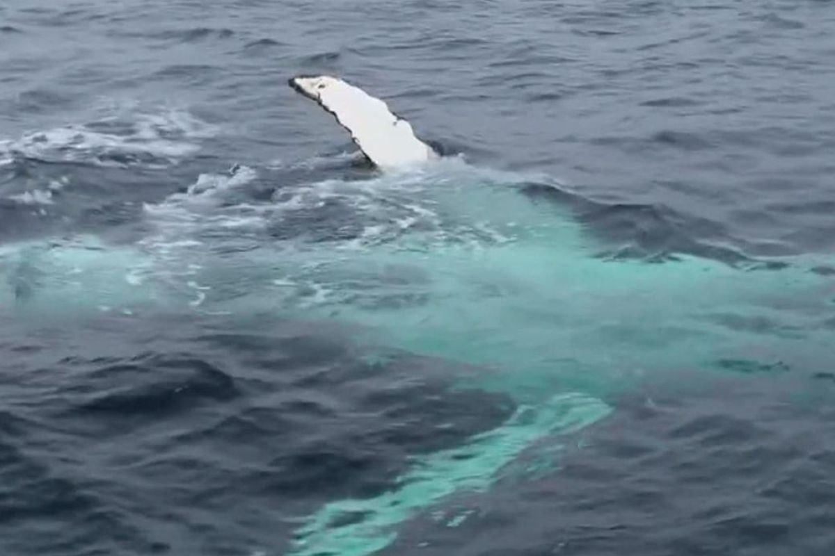 Териберка и море