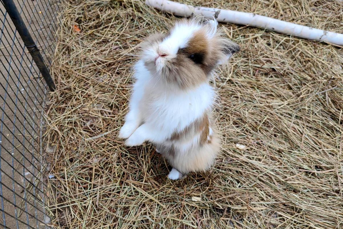 Экскурсия в Сафари-парк