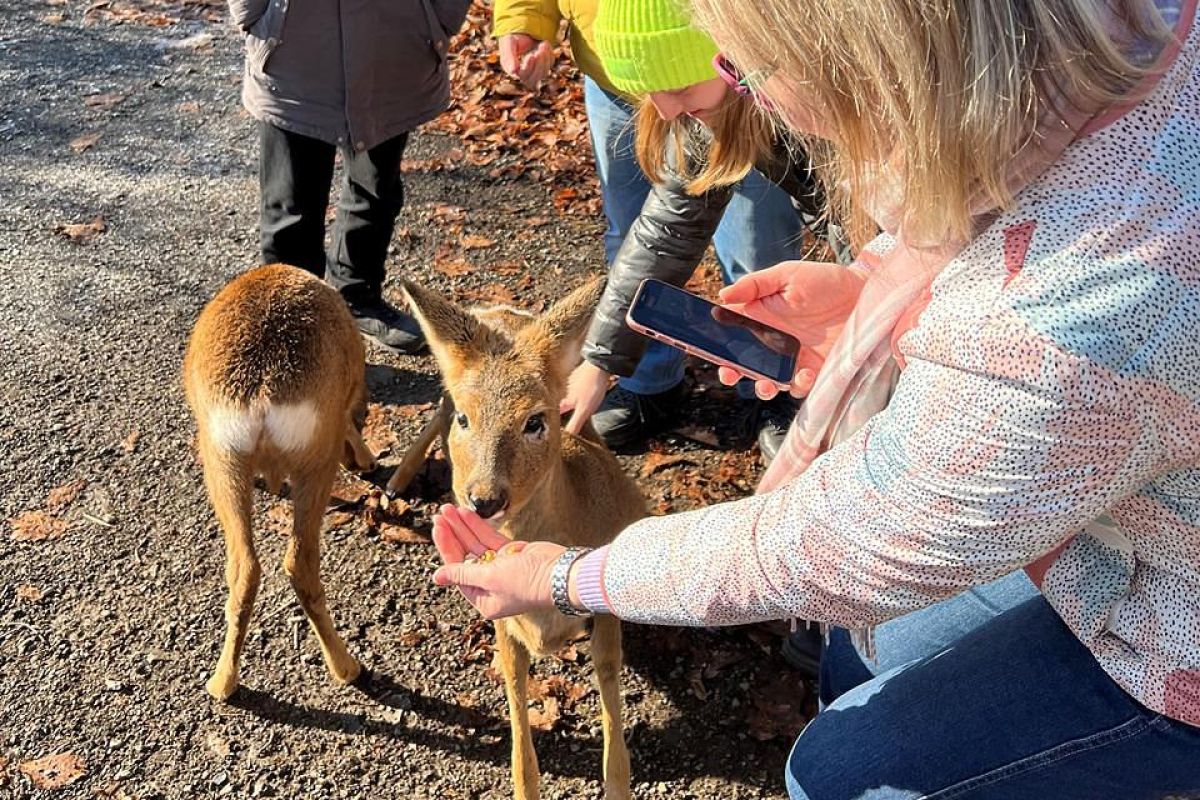 Семейное путешествие во Владивосток