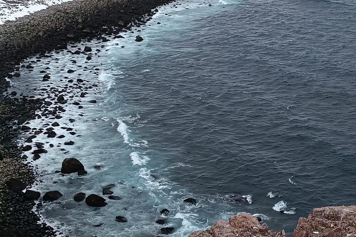 Териберка с морской прогулкой (зима)