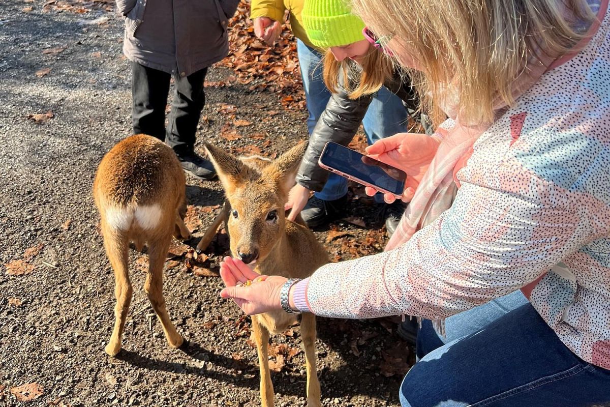 Экскурсия в Приморский Сафари-парк