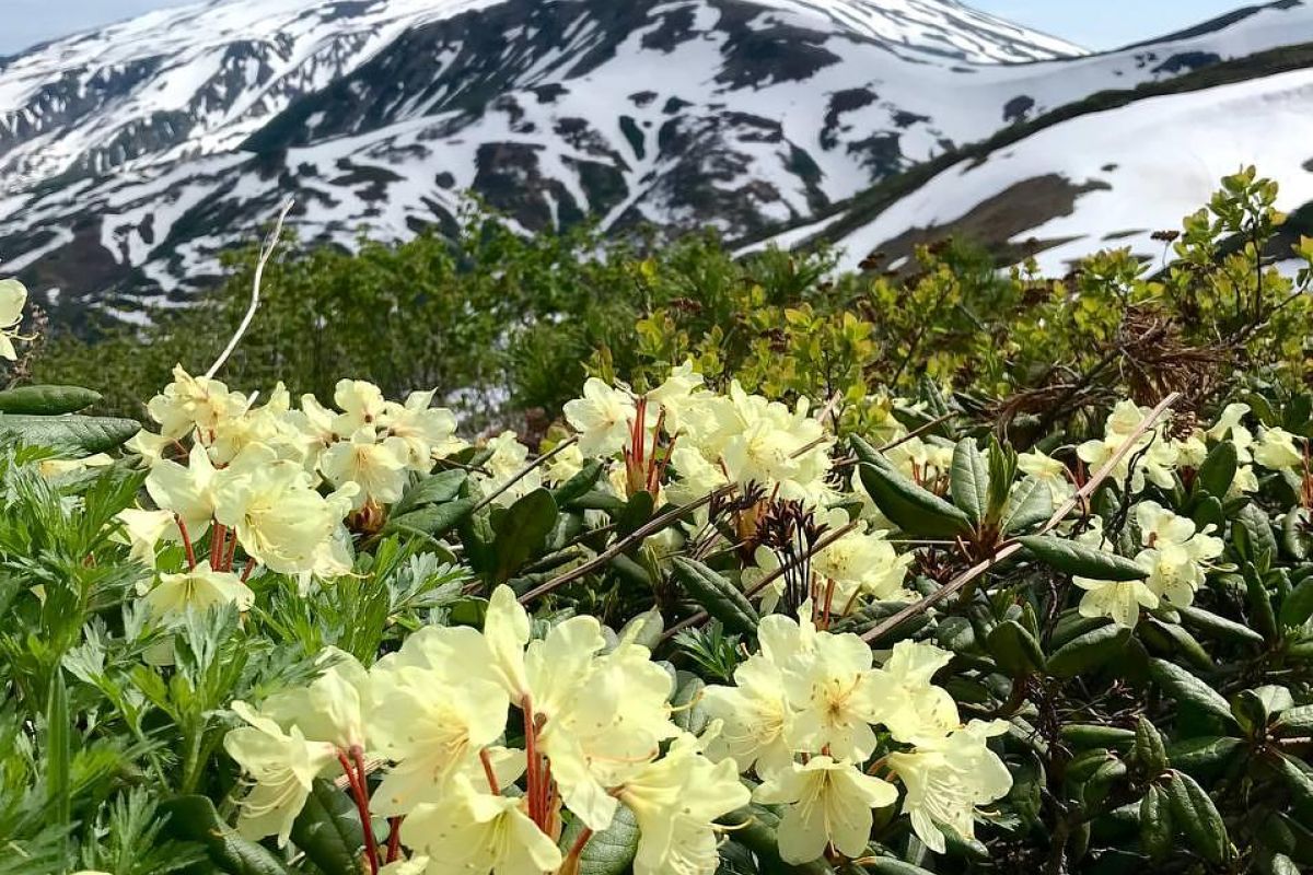 Треккинг на Вилючинский водопад (Камчатка, экскурсия)