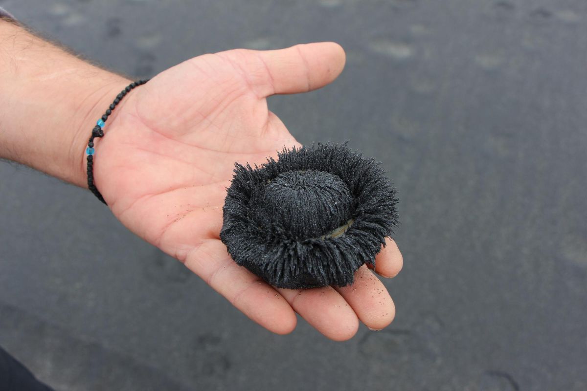 Сахалин - Итуруп: путешествие в сердце Дальнего Востока