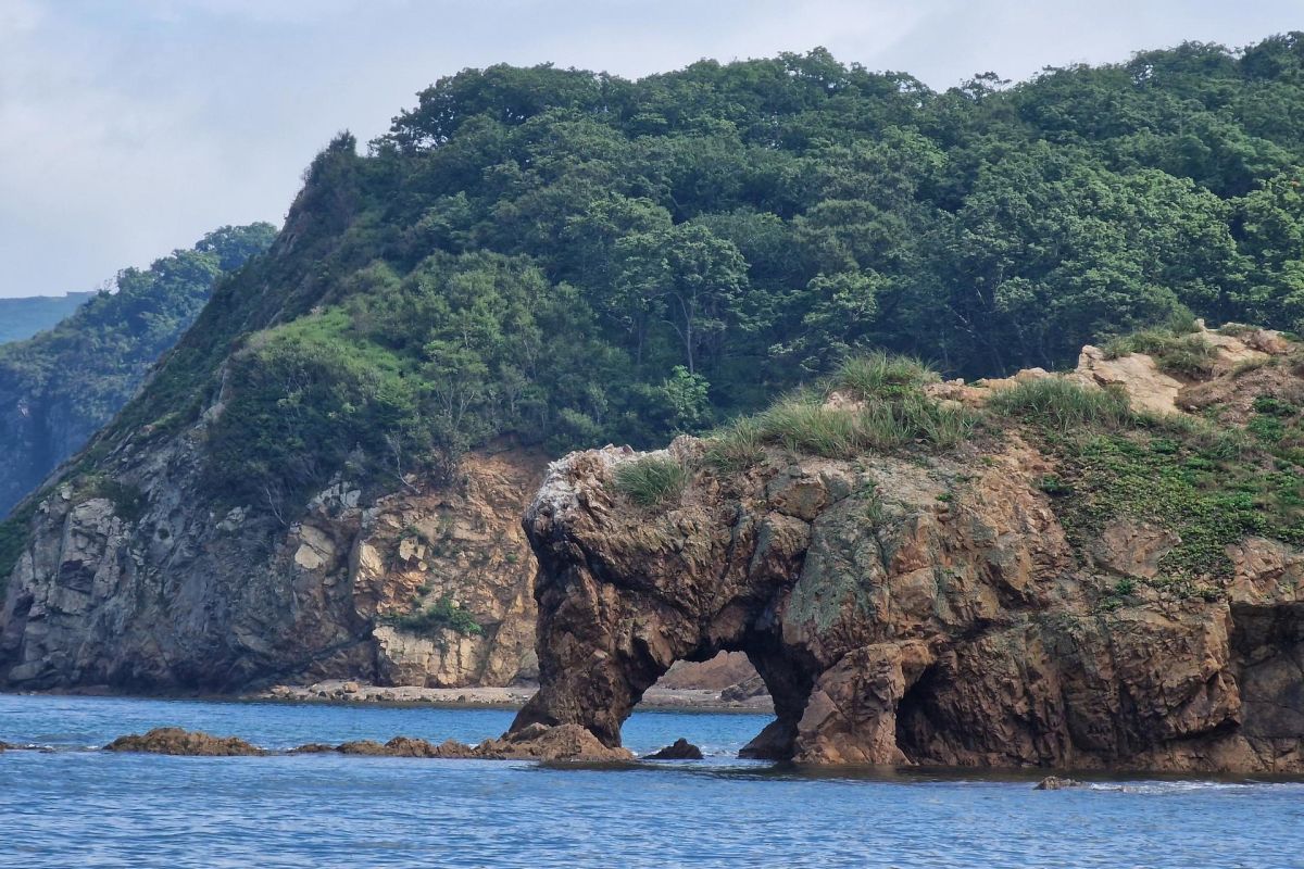 ЧУДЕСА ПРИМОРСКОГО КРАЯ