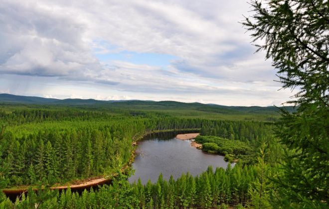 Ближе к звездам и динозаврам