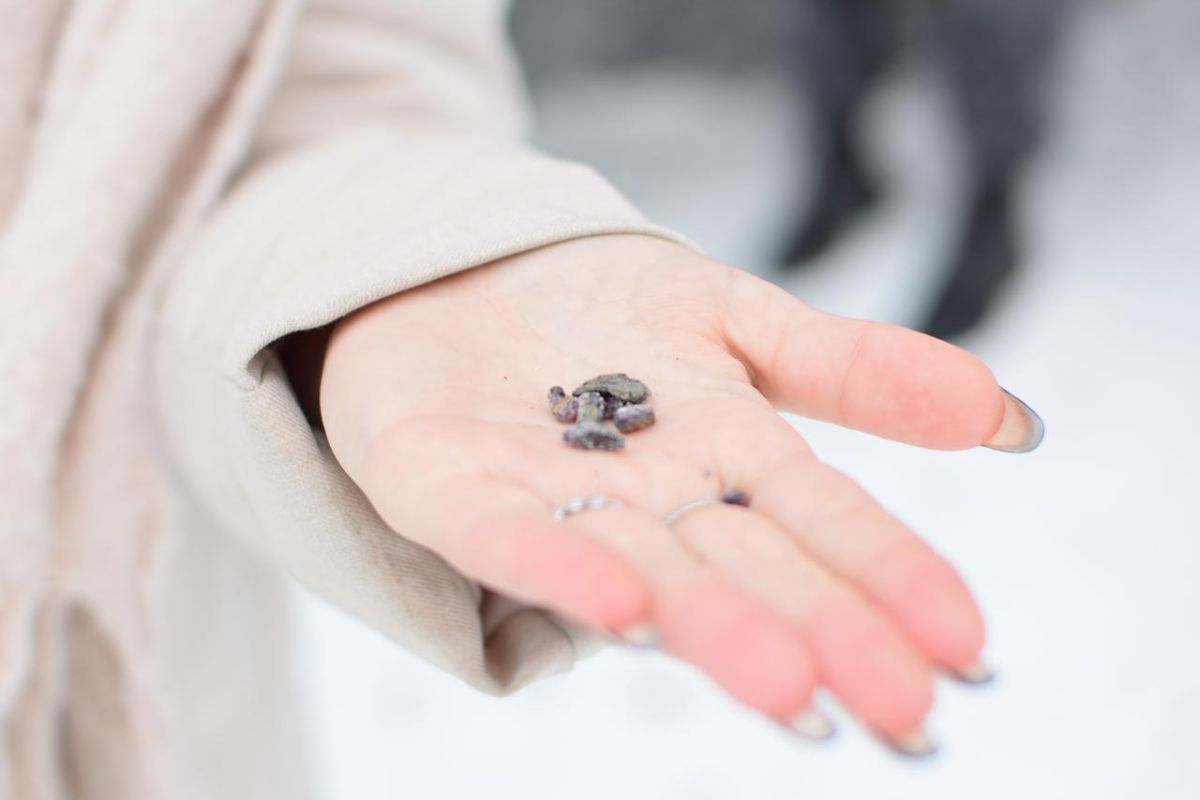 Карельский Новый Год в Петрозаводске: в гости к Деду Морозу Талви Укко