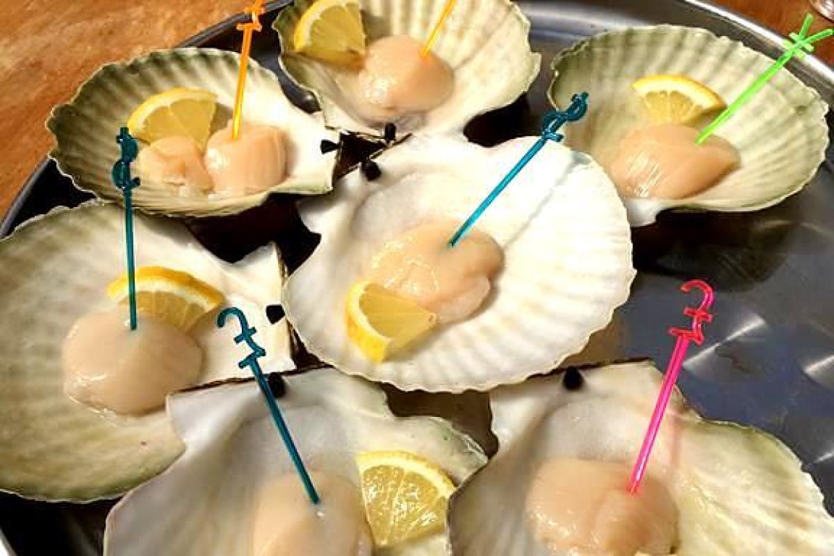 Мореферма с обедом + Приморский океанариум (о.Русский)