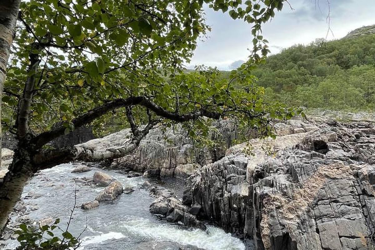 Мурманск. Ночное солнце (экскурсия)