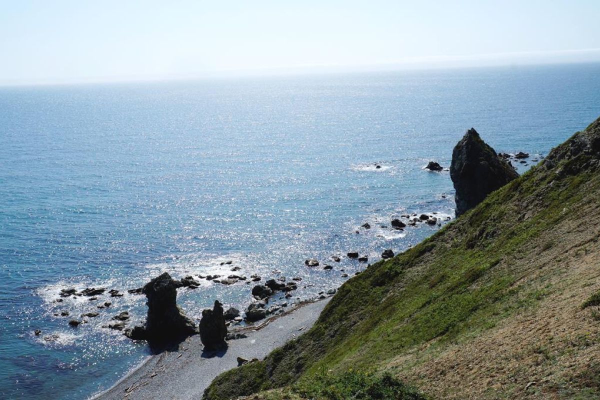 Сихотэ-Алинский заповедник: по следам амурского тигра!