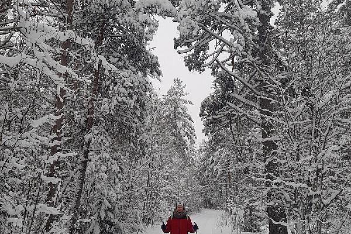 Лыжный тур «5 дней в Приладожье»