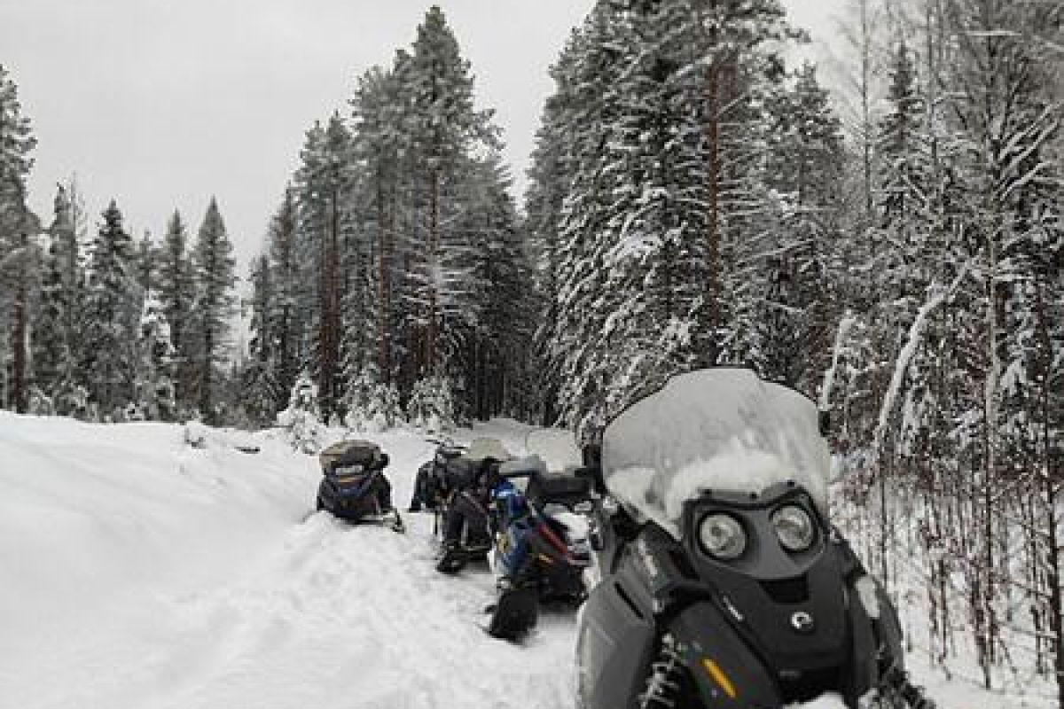 Снегоходный вираж в Карелии (экскурсия)