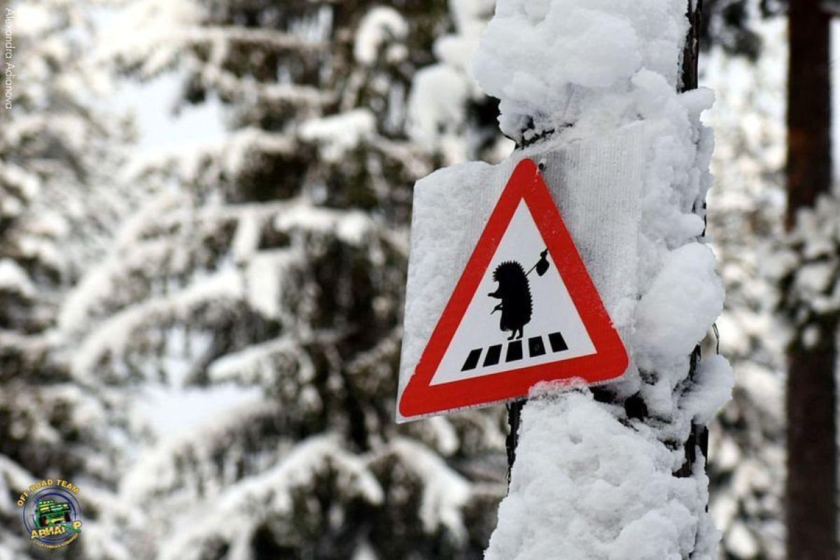 Однодневные снегоходные маршруты по Карелии