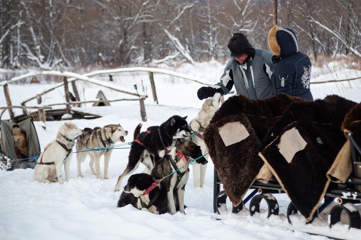Предновогодняя Камчатка 2025