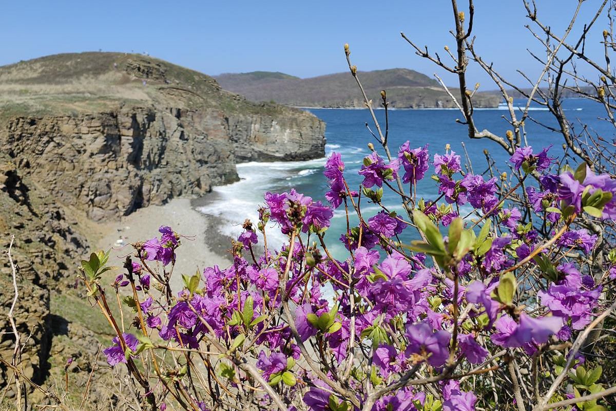 Дыхание весны в Приморье