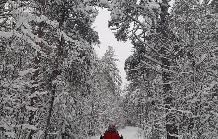 Лыжный тур в карельском Приладожье (3 дня)