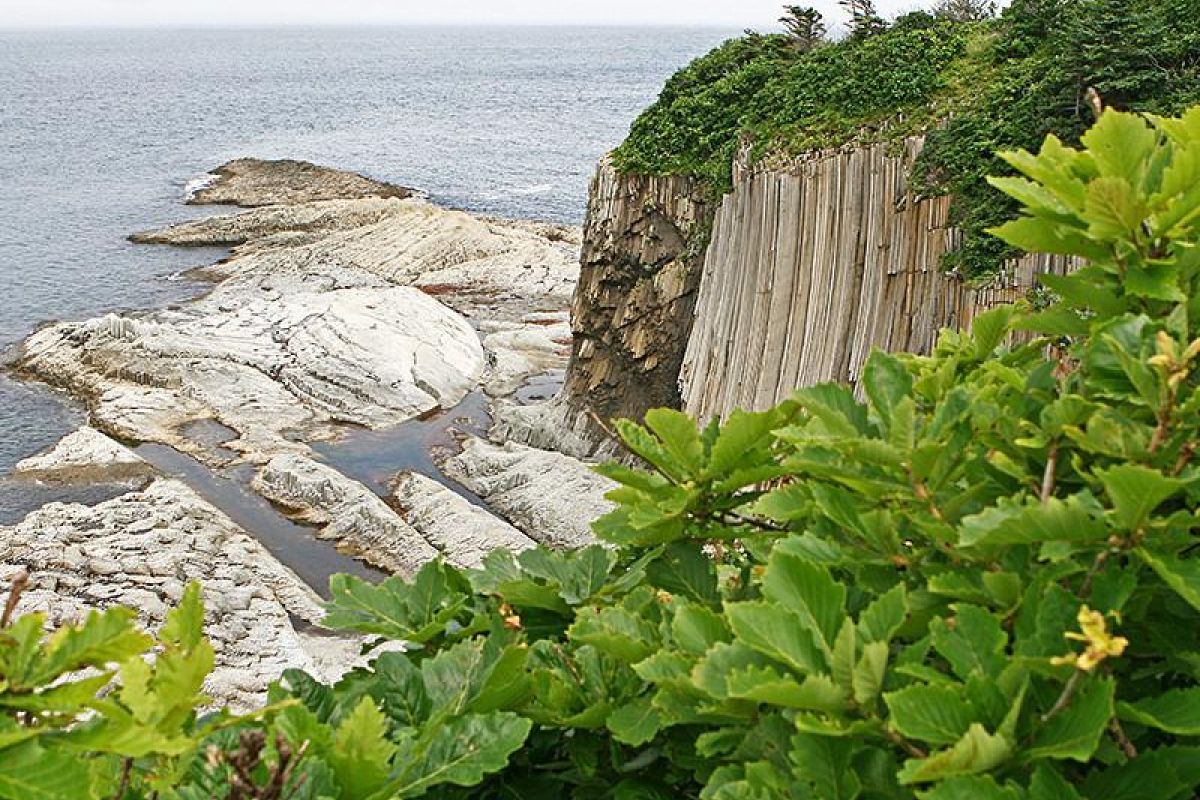 Сахалин и Кунашир