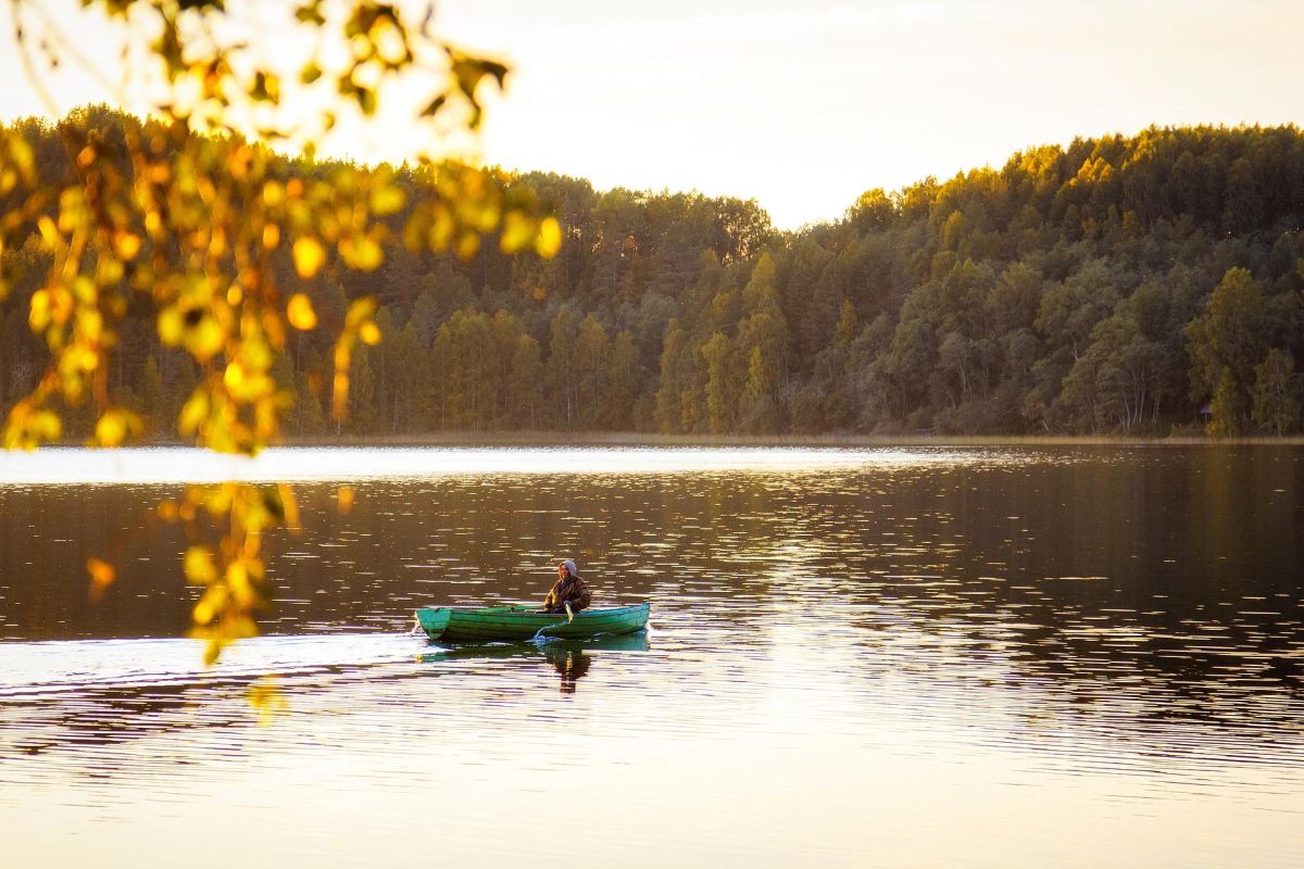 Тур для школьников «Выходные в лесной избушке»