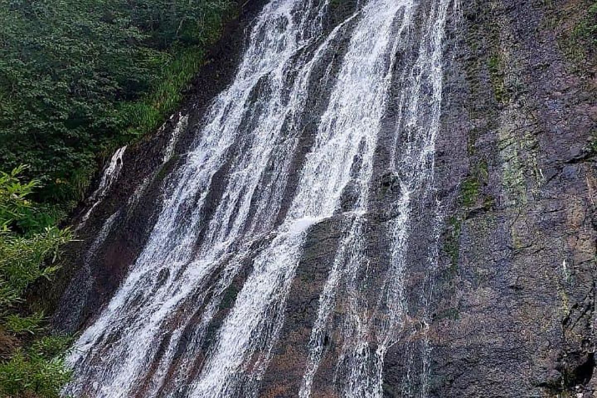 Экскурсия в бухту Тихая (Сахалин)